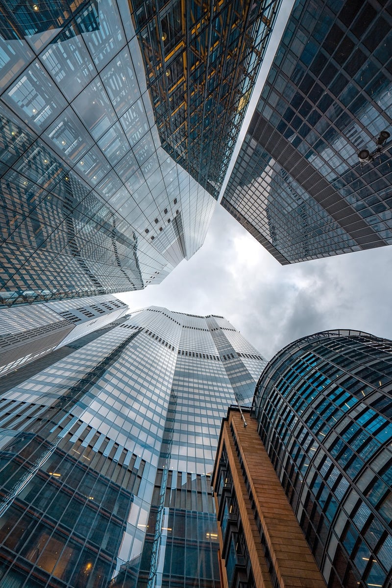 Insider Perspectives